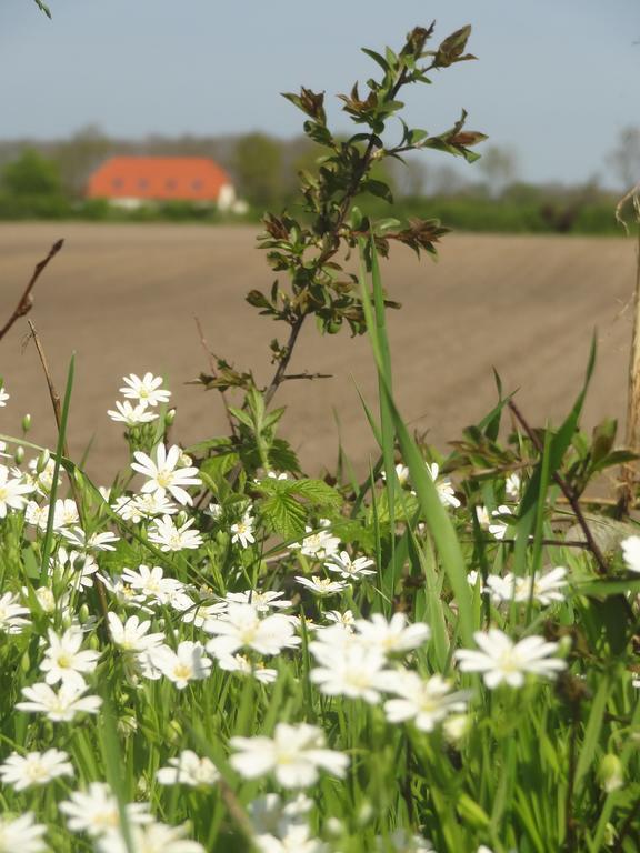 Land&Meer Hasselberg  Exterior foto